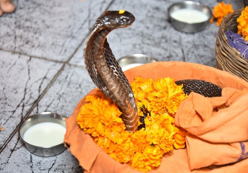 naagpanchmi
