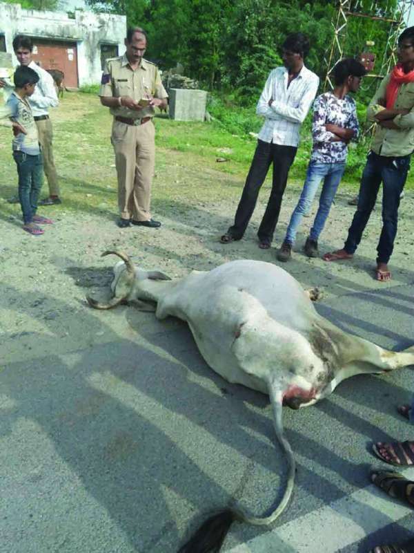 Rajsamand,Rajsamand Hindi news,Rajsamand local news,rajsamand news in hindi,rajsamand latest hindi news,rajsamand latest hindi news rajsamand,Latest News rajsamand,Latest hindi news rajsamand,