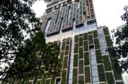 Antilla