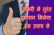 jobs and promotion astro tips hindi news