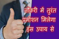 jobs and promotion astro tips hindi news
