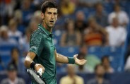 novak 