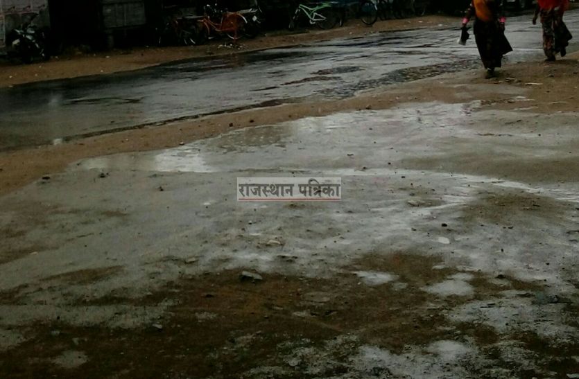 pali hindi news