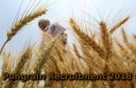Pungrain recruitment