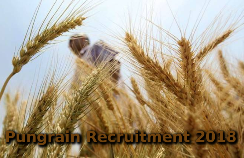 Pungrain recruitment