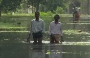 kerala flood
