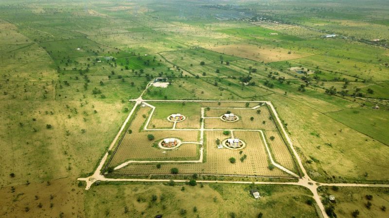 World Photography Day