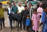 Eid special in khandwa