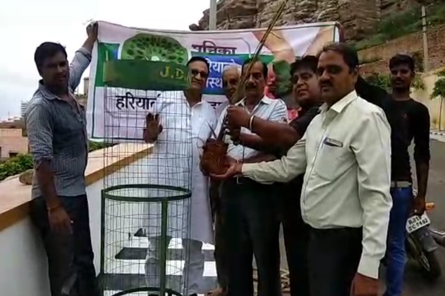 हरयाळो राजस्थान में उत्साह से किया पौधरोपण, बच्चों-बुजुर्गों ने निभाई भागीदारी