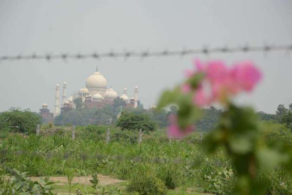 World Photography Day 2018