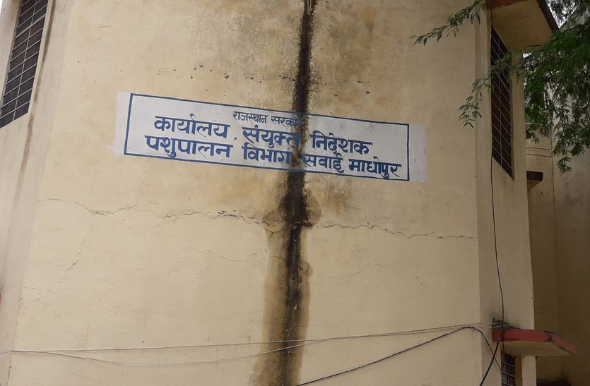 patrika
