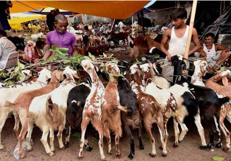 Eid Ul Adha Bakrid 2018