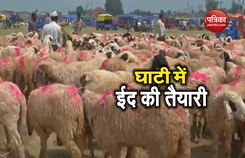 कश्मीर: बकरीद की तैयारियां जोरों पर, खूब बिक रहे हैं मवेशी