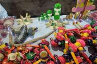 exhibition in bilaspur