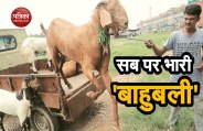 EID