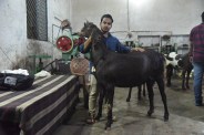 Eid-ul-Adha