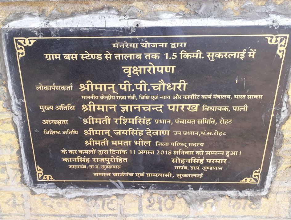 Khadde, own plant for two years