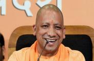 yogi