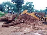Revenue of Woody Forest Department: The hidden wood buried under the g