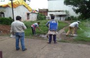 Dengue in Durg city