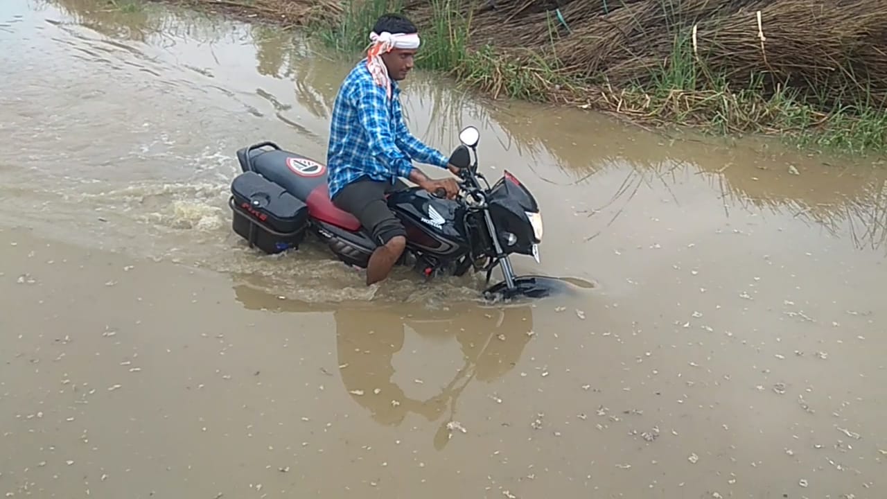 patrika