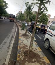 patrika