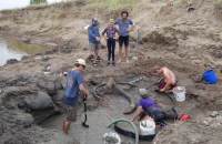 rancher found 2000 years old colossal columbian mammoth near river