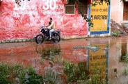 डेंगू को लेकर लोगों को किया जा रहा अलर्ट