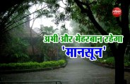 monsoon
