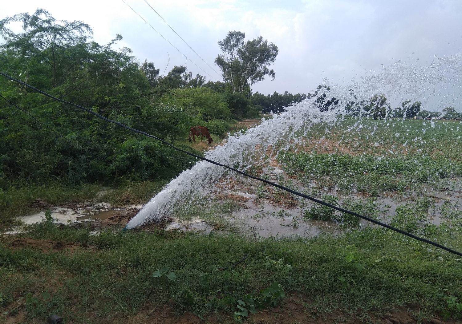 Water department