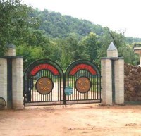 Cubs born to tigress p-141 in panna tiger reserve