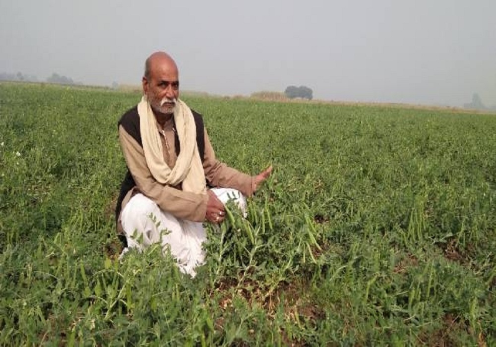 farmers