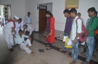 Collector: The young began to suffer in front of the collector chamber