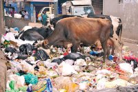शहरों में ठोस अपशिष्ट का प्रबंधन कारगर बनाएगा नया कानून