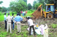 विभाग को वेटनरी डॉक्टरों से पीएम रिपोर्ट का इंतजार