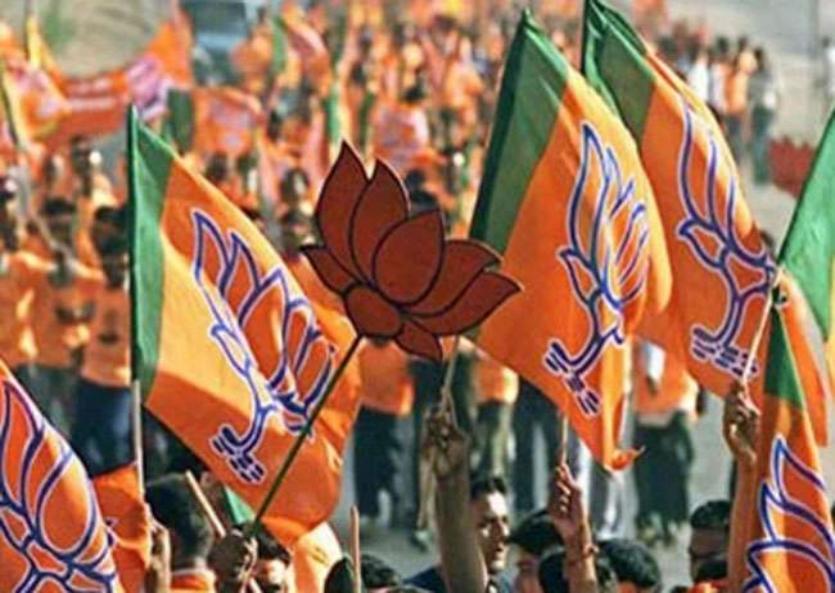 भाजपा के इस मंत्री से पत्रकार ने पूछा ये सवाल तो हो गए आग बबूला फिर किया ये काम, देखें वीडियो