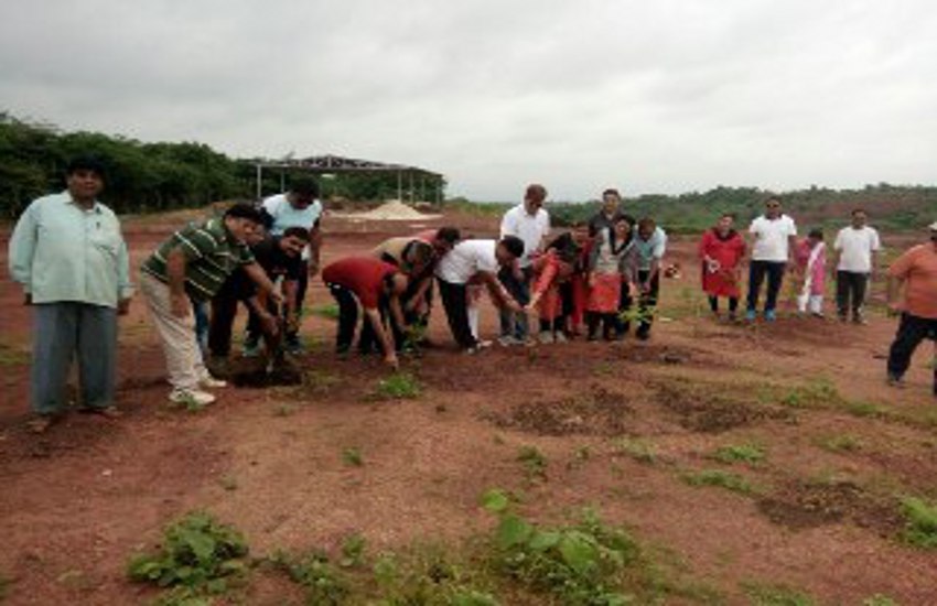 Planting in Jabalpur