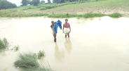 school child died after falling from Bridge of the river in kanpur