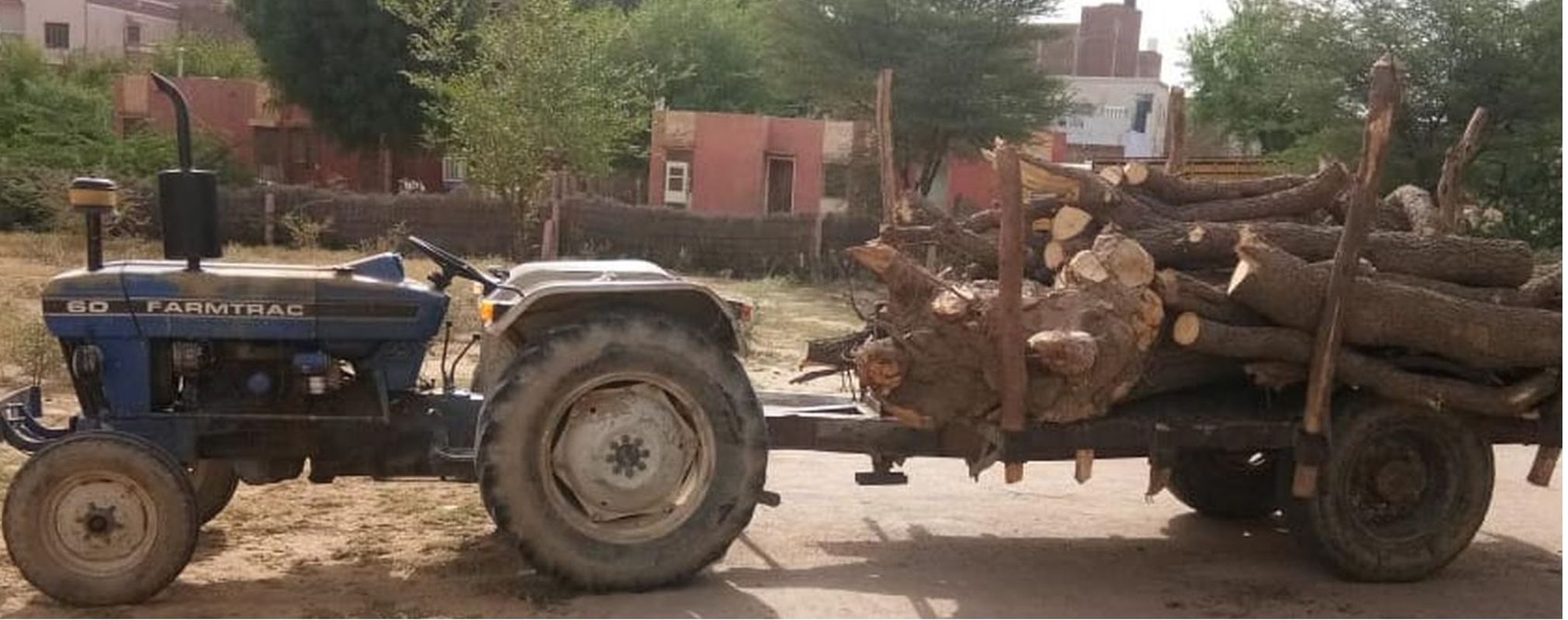 Forest department