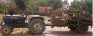 Forest department