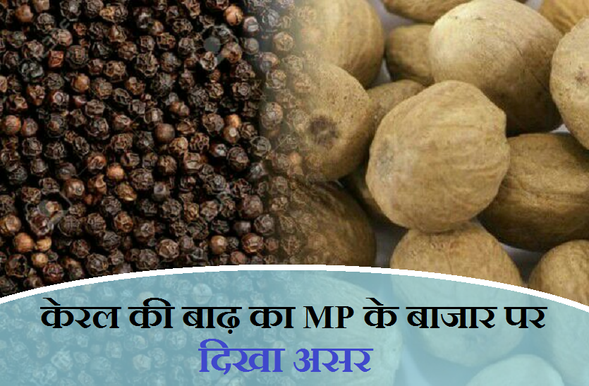 Kerala MPs demand floods to be declared natural calamity