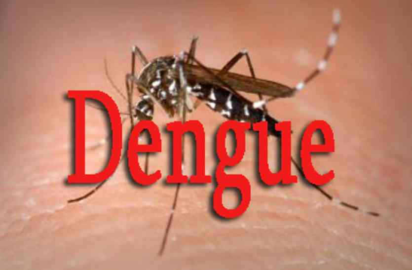 Dengue patient found in bhilwara