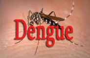 Dengue patient found in bhilwara