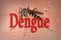 Dengue patient found in bhilwara