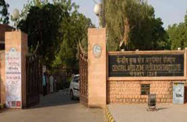 PM Modi will give Sardar Patel award to Jodhpur cazri