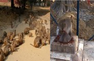 khabis baba temple in up where monkeys drink alcohol