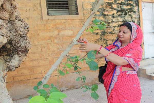 rakshabandhan photos