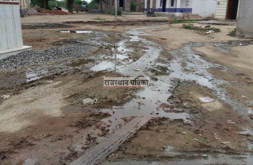 pali hindi news