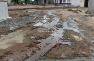 pali hindi news