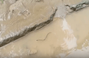 flood water